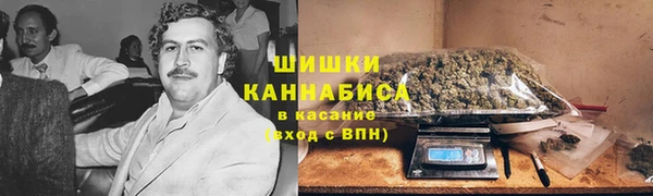 2c-b Инсар