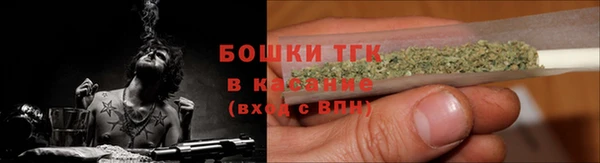 2c-b Инсар