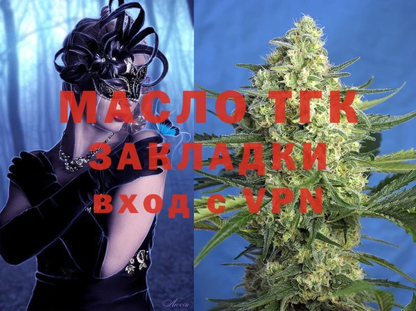 2c-b Инсар