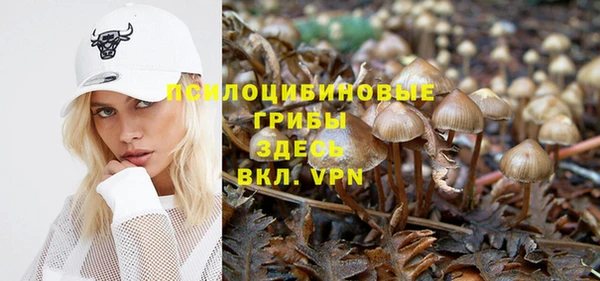 мескалин Касимов