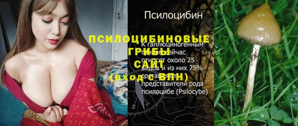 круглые Карталы