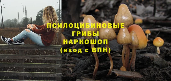 круглые Карталы