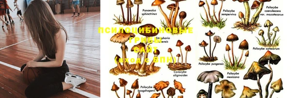MDMA Premium VHQ Инта