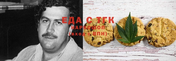 стаф Каменка