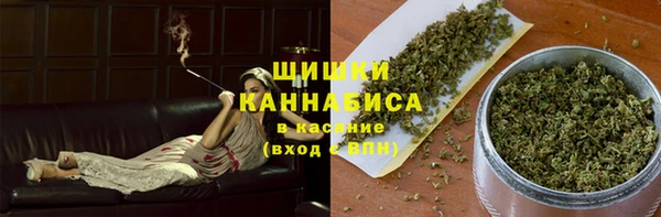 2c-b Инсар