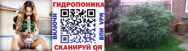 закладки  Клинцы  Каннабис MAZAR 